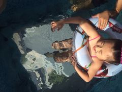 -上海浦东康桥绿地假日酒店