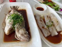 -云中小雅
