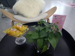 点击看大图 -索菲医疗整形美容