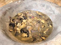 -马帮菜馆·美味野生菌