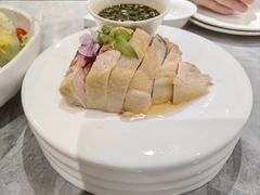 -老绍兴养和饭店(向阳不夜城店)