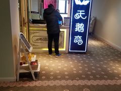 -天鹅恋
