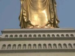 -中原大佛景区