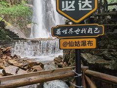 -姑婆山旅游区