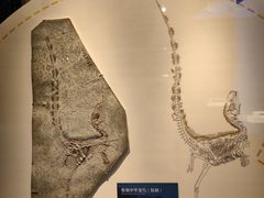 -辽宁省博物馆