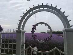 -呼吸森林·生态农庄农家乐私房菜