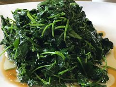 -蝶苑(吴江路店)