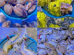 -聚盛源蒸汽海鲜火锅烤肉自助(巨川金海岸购物广场店)