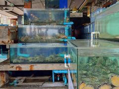 -大螃蟹海鲜餐厅