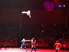 -珠海横琴长隆《卡卡虎奇遇记》