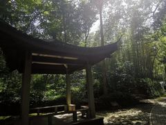 -西湖风景区十里琅珰-五云山
