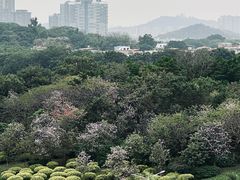 -广东工业大学(大学城校区)