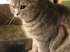 -藦茜花园宠物主题亲子互动体验馆(国顺东路店)