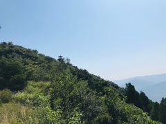 -阳台山自然风景区