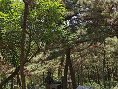 -燕窝岭