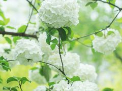 -大龙山(地铁站)