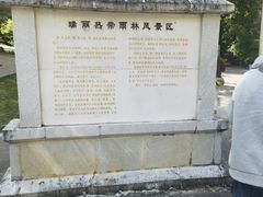 -莫里热带雨林景区