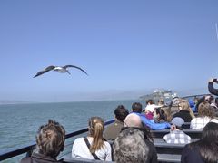 -阿尔卡特拉斯岛