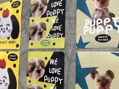 -萌物合辑(新中关购物中心店)