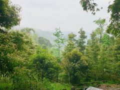 -凤栖山