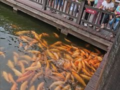 -枫香湖儿童公园