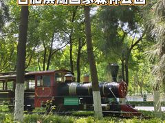 -合肥滨湖国家森林公园