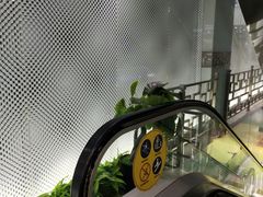 -西单明珠商场