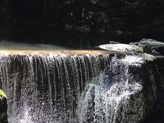 -牛背梁国家森林公园