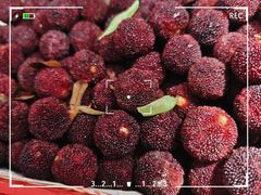 -海底捞火锅(漫乐城夜宵主题店)