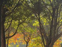 -华南师范大学(广州大学城校区)