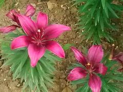 android_upload_pic-蠡湖中央公园