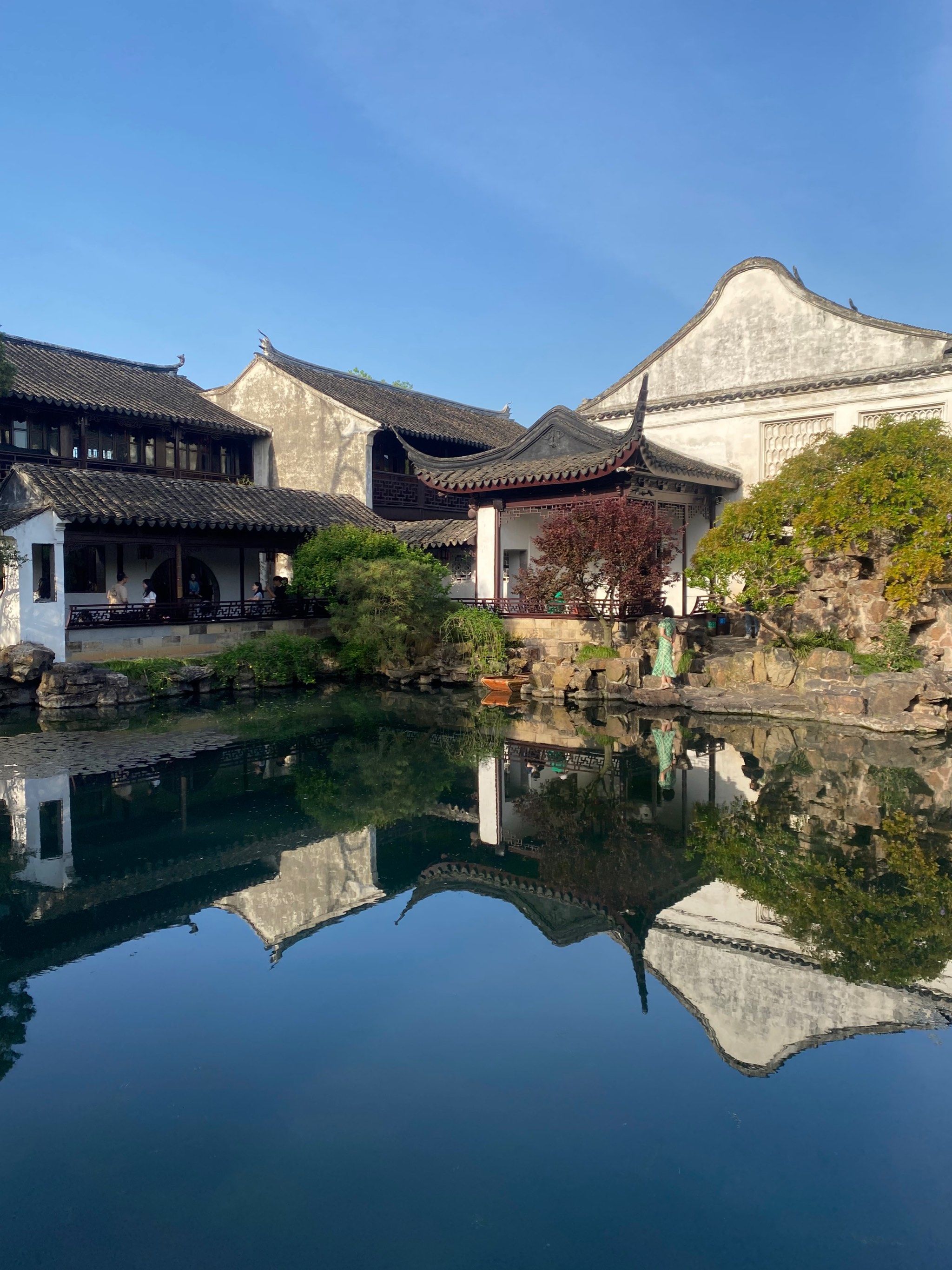 歪果仁最爱的园林—网师园