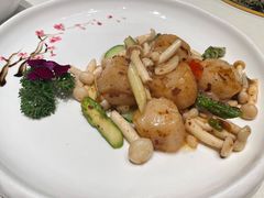 澳带-蝶园·装修中(BFC外滩金融中心店)