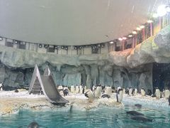 -珠海长隆海洋王国