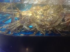 -蟹之国·精品蟹料理(极地店)