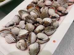 -华盛丰温州大排档(东三环南路店)