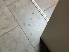 -贾老板缸肉馆(潮韵街店)