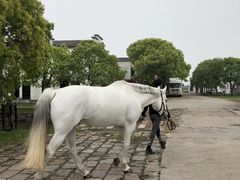 -松声马术俱乐部