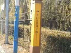 -长白岛森林公园