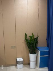 -碧莲盛·不剃发植发