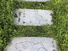 -卧龙湖