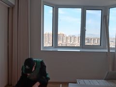 -全屋清新除甲醛 上海