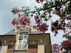 -中旅阿那亚九龙湖·公主酒店