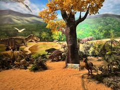 -安徽省地质博物馆