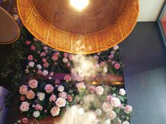 -咕嘟草帽鱼·牛奶一样的鲜鱼汤(包河万达广场创始店)