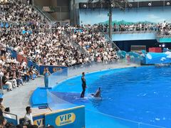 -海合安成都极地海洋公园