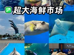-泉城欧乐堡海洋极地世界