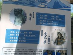 -青藏高原野生动物园
