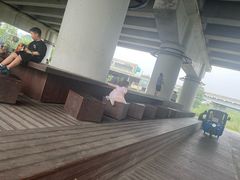 -白鹭湾湿地公园