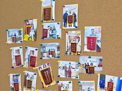 -美联众合动物医院·24h转诊中心